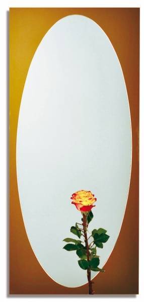 Купить зеркало 603 (50*110) бытовое, россия. в Иваново магазин сантехники Суперстрой