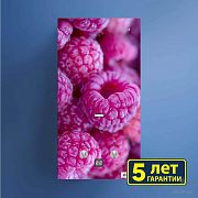 Купить водонагреватель газ neva 4510 g-малина,baltgaz. в Иваново магазин сантехники Суперстрой