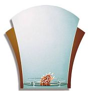 Купить зеркало 205 п (59*61) бытовое, россия. в Иваново магазин сантехники Суперстрой