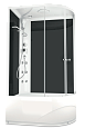 Купить душевая кабина  domani spa delight high 120*80  l вп пс электрикой в Иваново магазин сантехники Суперстрой